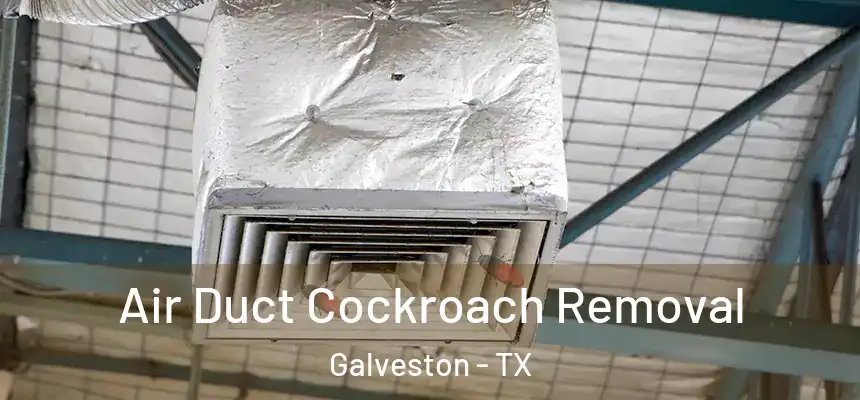  Air Duct Cockroach Removal Galveston - TX