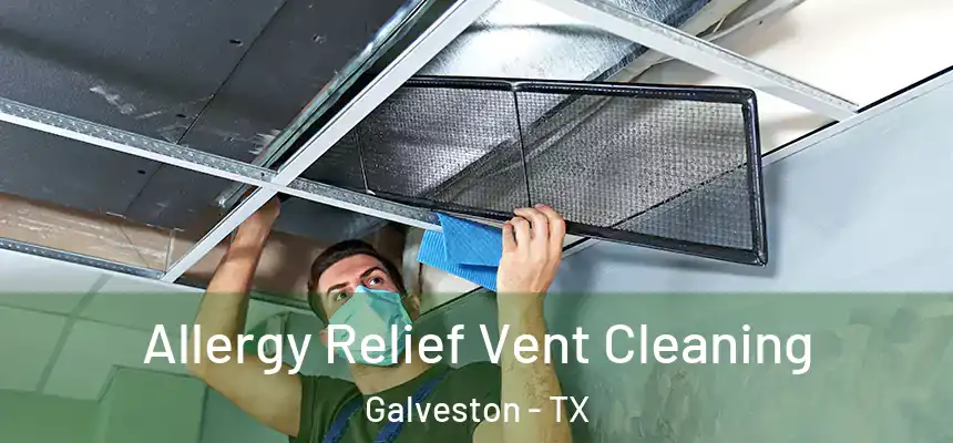  Allergy Relief Vent Cleaning Galveston - TX
