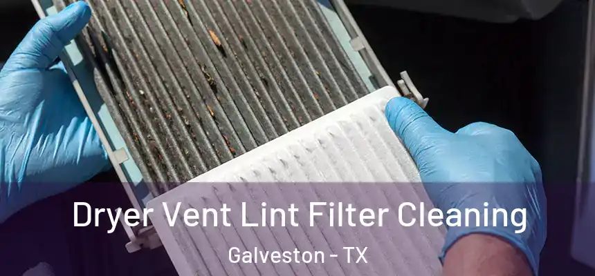  Dryer Vent Lint Filter Cleaning Galveston - TX