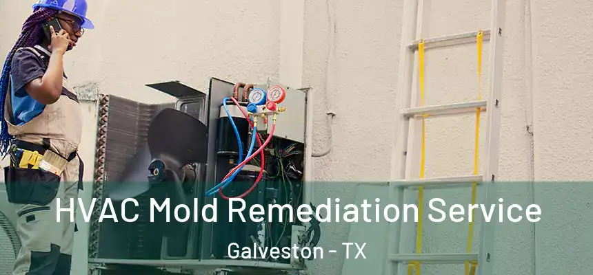  HVAC Mold Remediation Service Galveston - TX