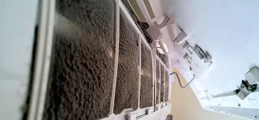 Preventive Air Duct Bacteria Removal in Galveston