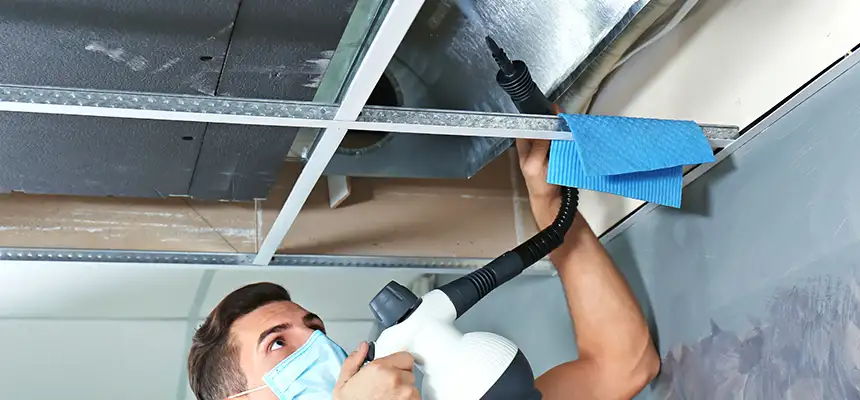 Our Air Duct Rodent Removal Services in Galveston, TX