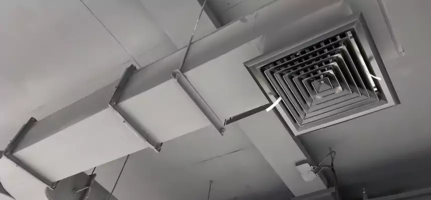 Restorative Allergy Relief Vent Cleaning – Coil, Blower & Housing Detail in Galveston