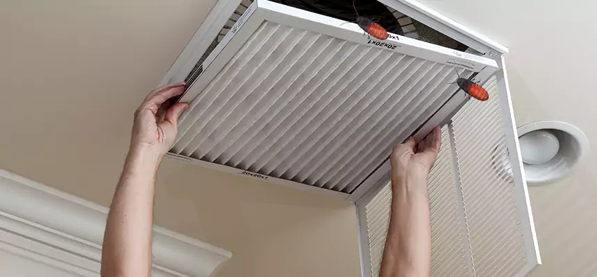 Our Insect Removal from Air Ducts Services in Galveston, TX