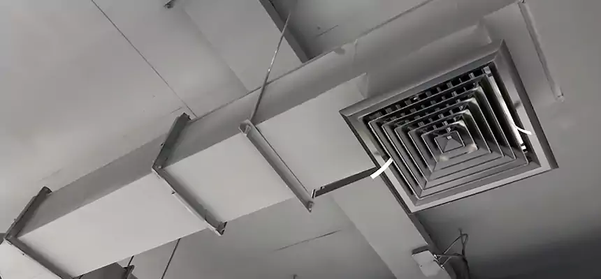 Our Rodent Droppings In Vents Services in Galveston, TX