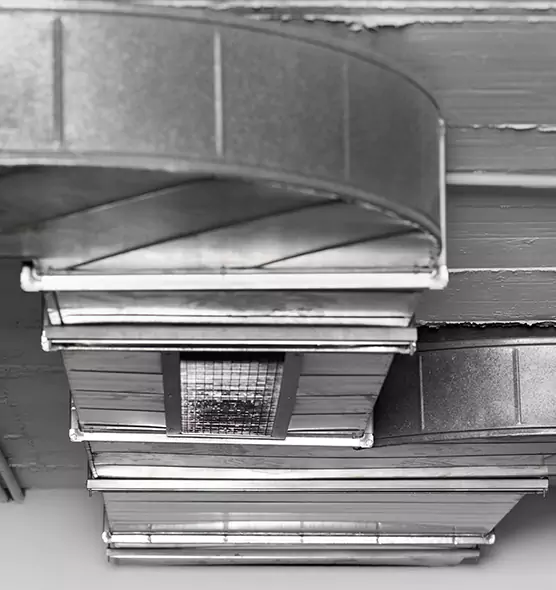 Professional Air Duct Pest Removal in Galveston, TX