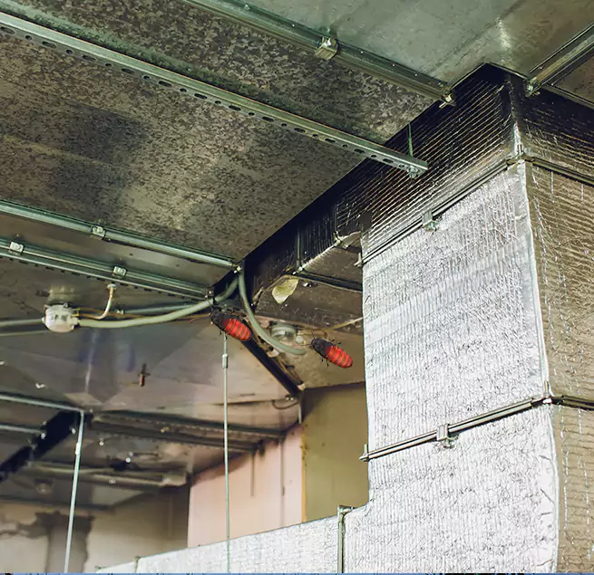 Why Homeowners & Businesses Trust Us in Galveston, TX?