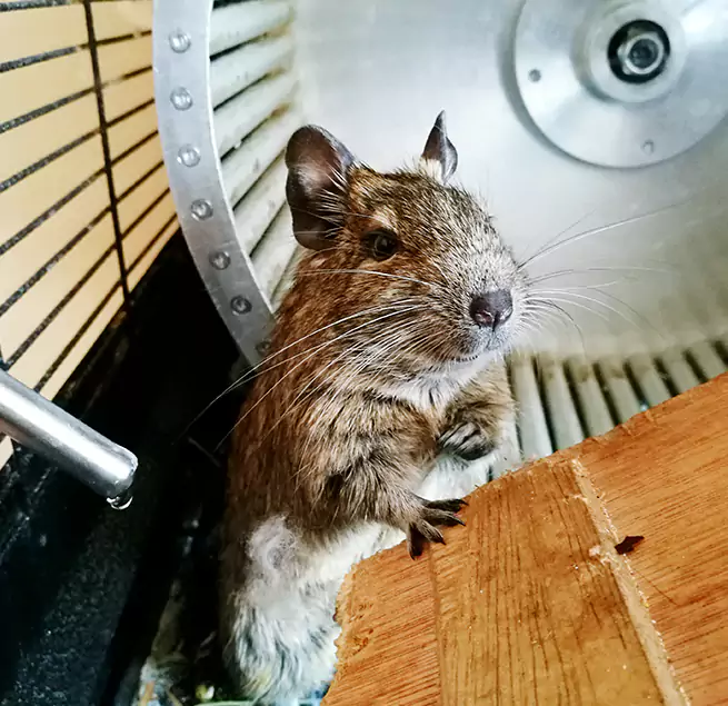 Why Homeowners & Businesses Trust Us Galveston, TX