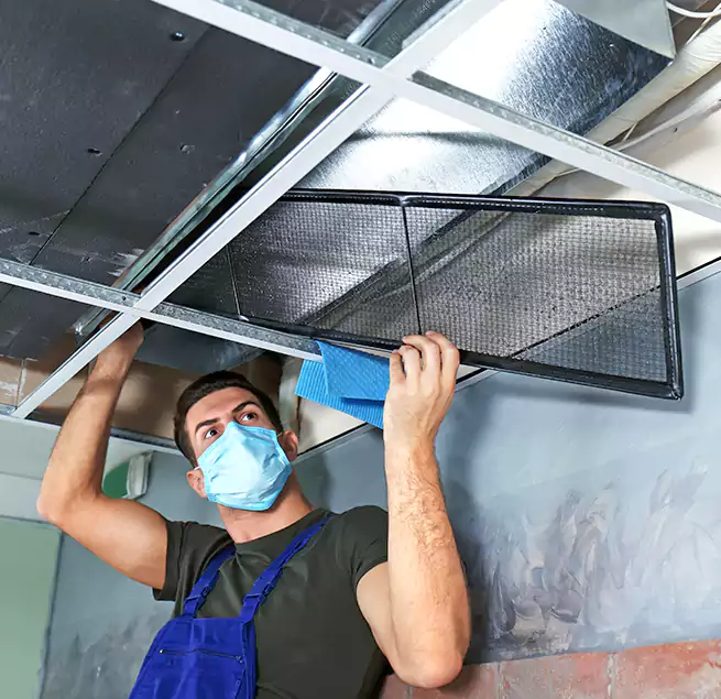 Why Homeowners Businesses Trust Us in Galveston, TX