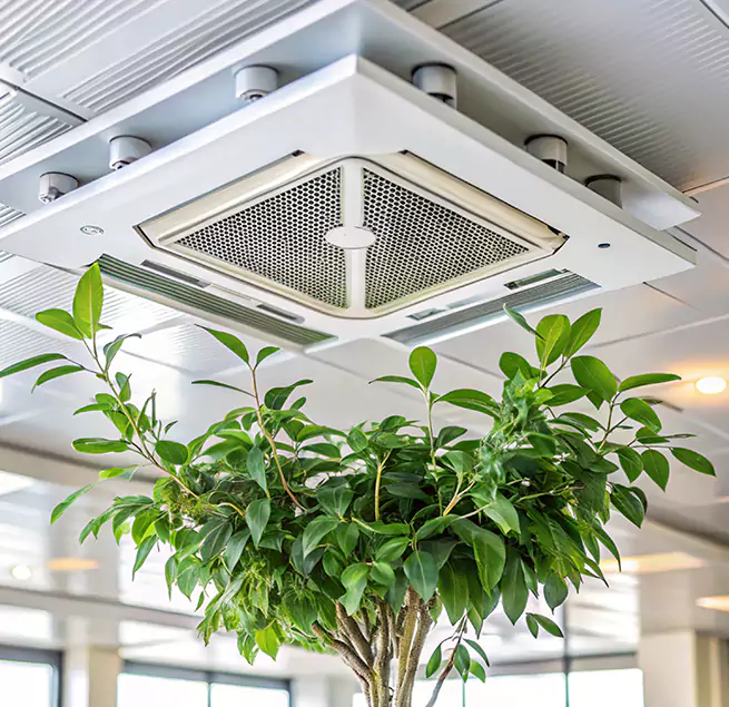 Why Homeowners & Businesses Trust Us in Galveston, TX